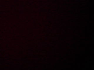 PICA0469