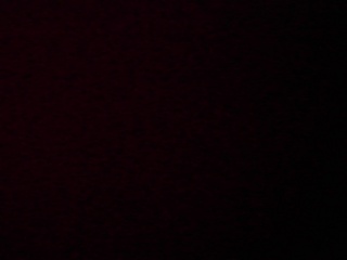 PICA0471