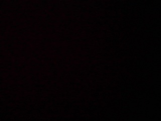 PICA0474