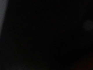 PICA0478