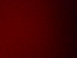 PICA0484