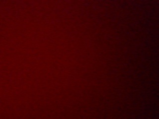PICA0486