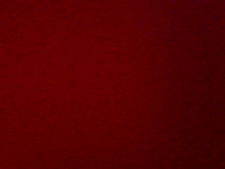 PICA0487