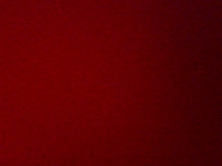 PICA0488