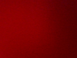 PICA0490