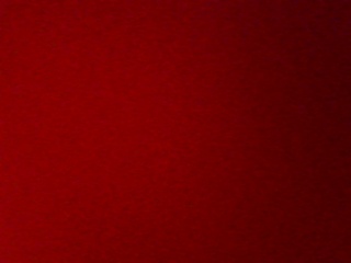 PICA0491