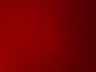 PICA0493