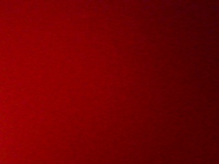 PICA0494
