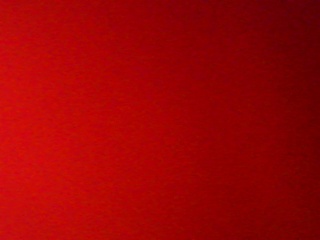 PICA0500