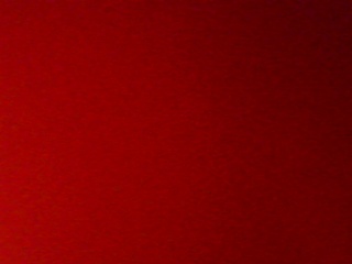PICA0506