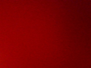 PICA0509