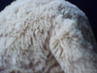 PICA0542