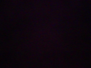 PICA0549