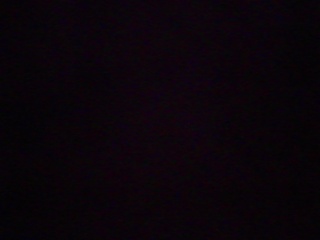 PICA0550