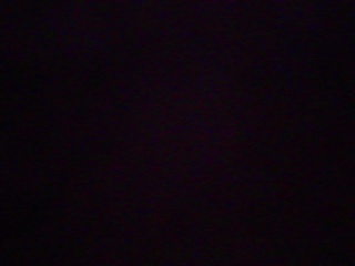 PICA0551