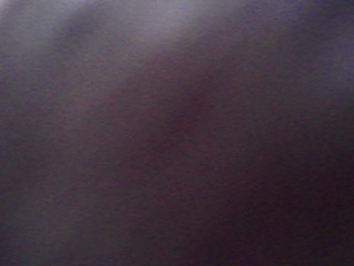 PICA0554