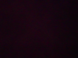 PICA0556
