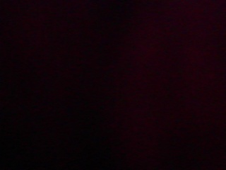 PICA0561