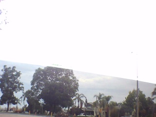PICA0567