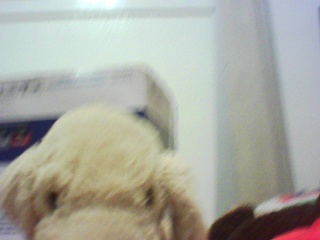 PICA0660