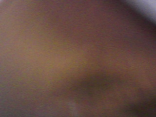 PICA0667