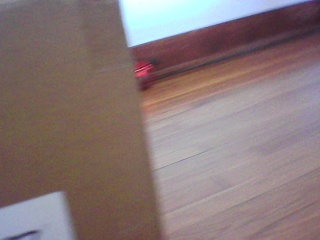PICA0698